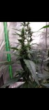 Screenshot_20220411-100025_Gallery