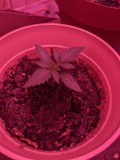 PXL_20220411_201711863