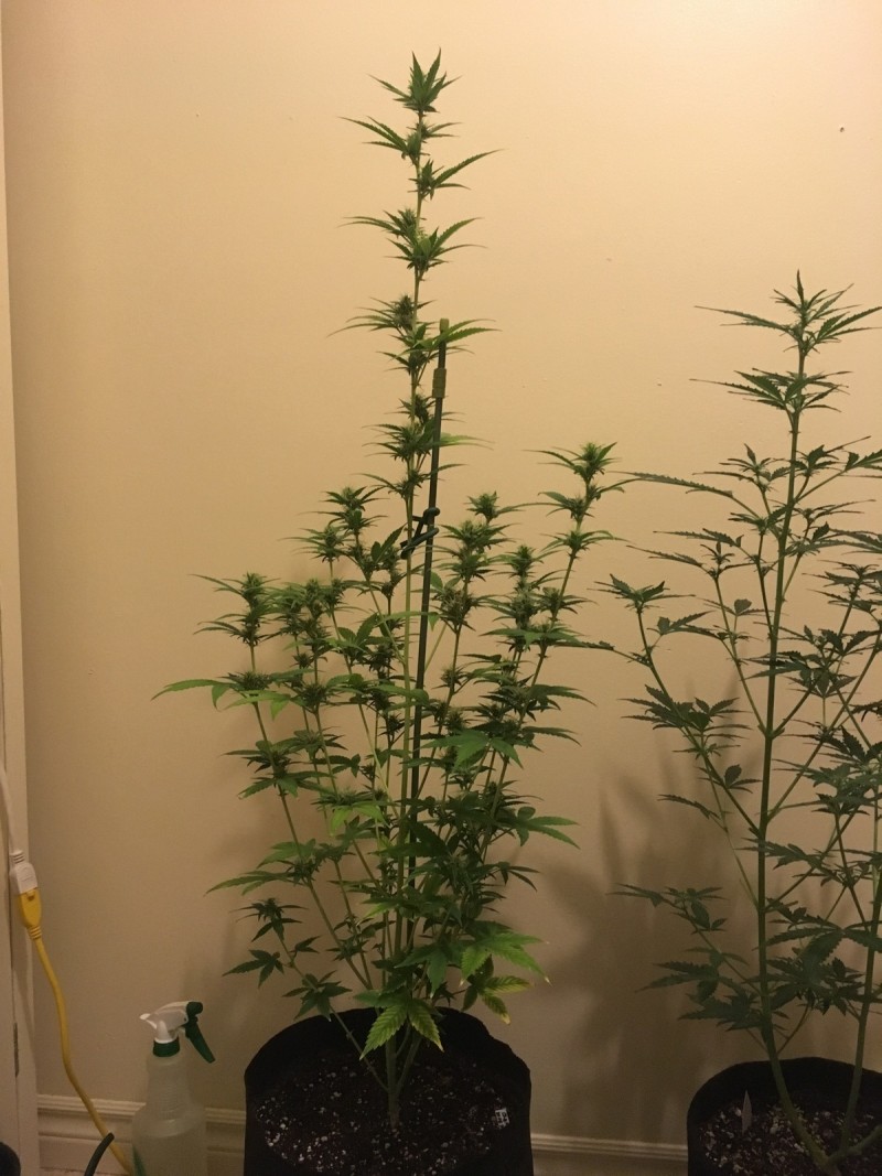 jan22 090