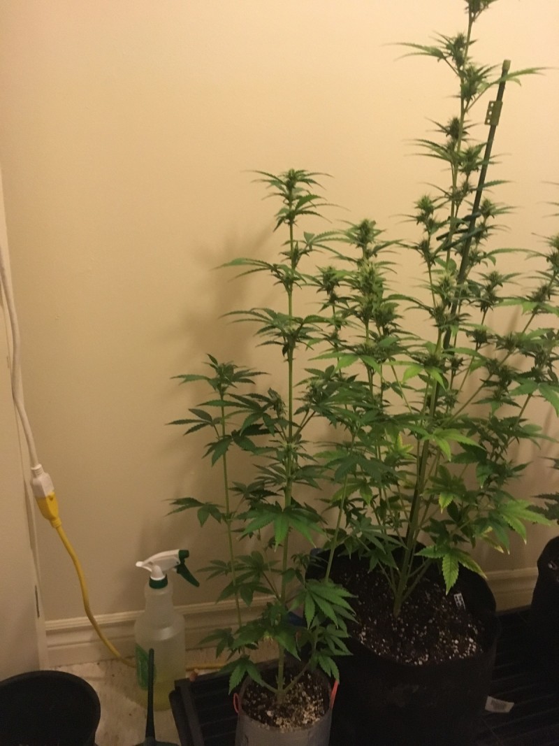 jan22 095