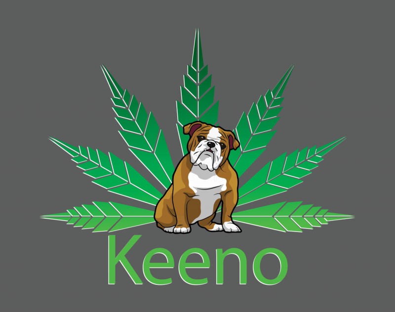 Keeno Logo_Final_PNG Version-01