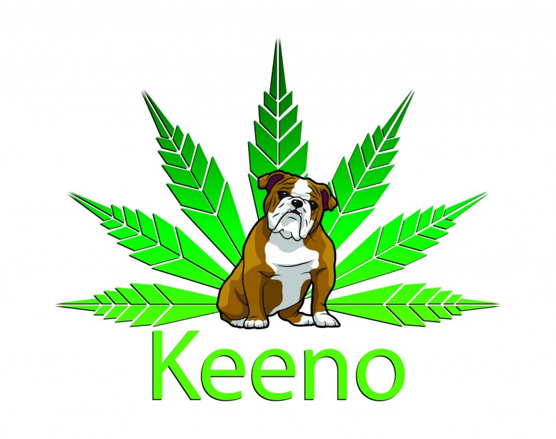 Keeno Logo_Final_JPG Version_300dpi-02