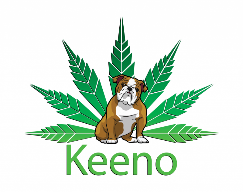 Keeno Logo_Final_PNG Version-02