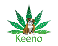 Keeno Logo_Final_Transp Version-02[2484]