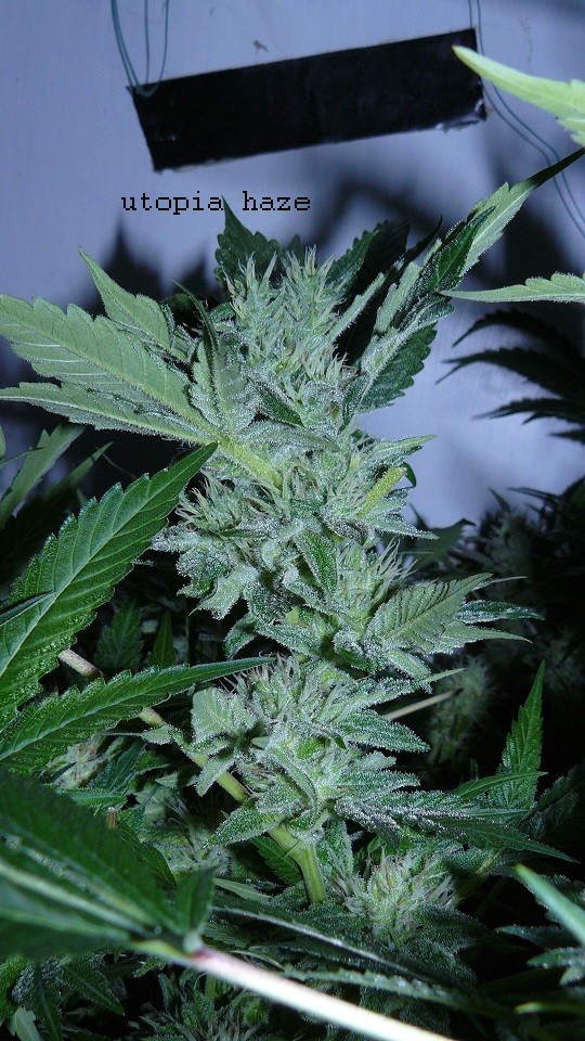 drobes 16 04 22 003