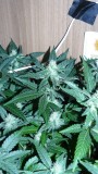 drobes 16 04 22 034