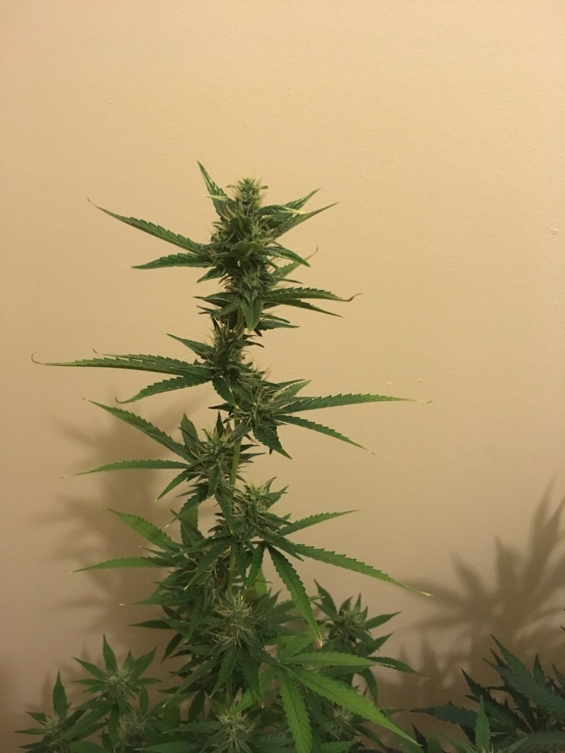 jan22 127