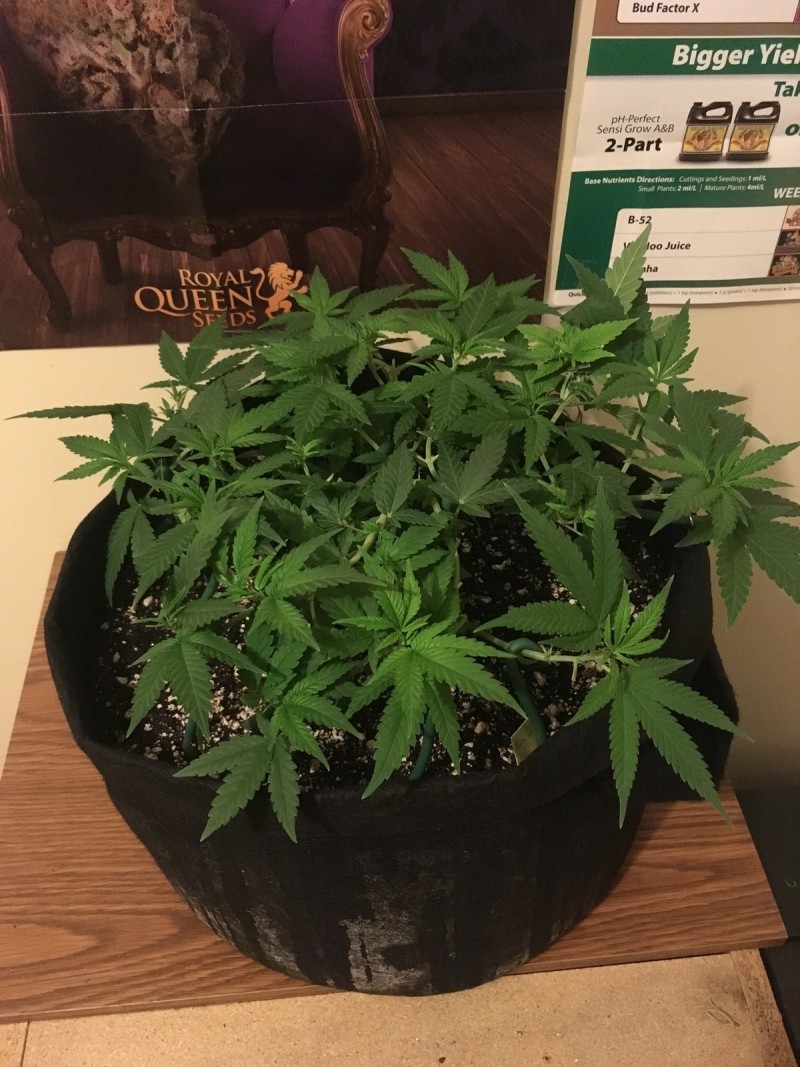 jan22 099