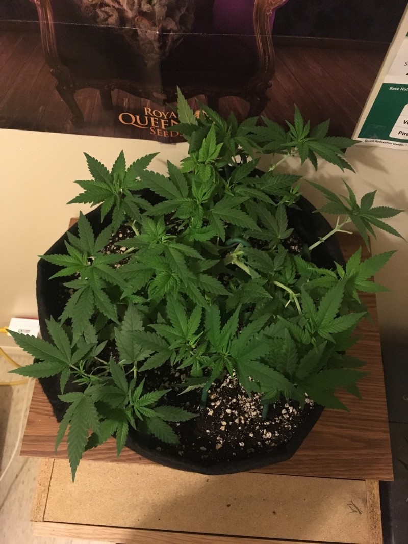 jan22 101