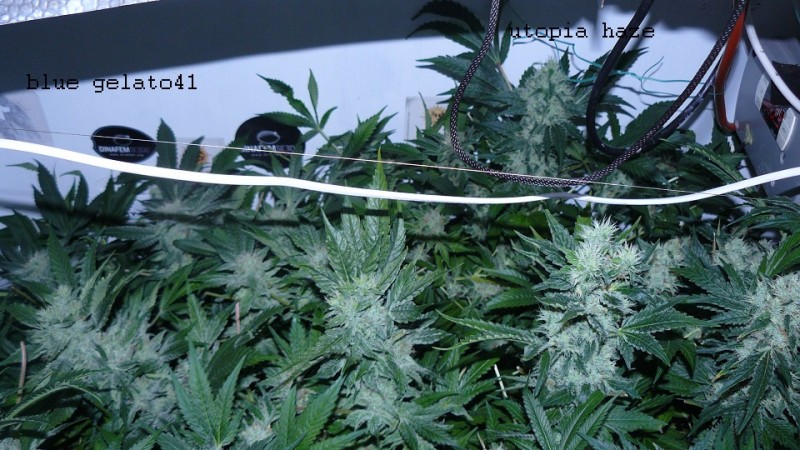 drobes 20 04 22 010