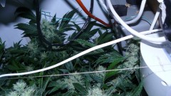 drobes 20 04 22 011