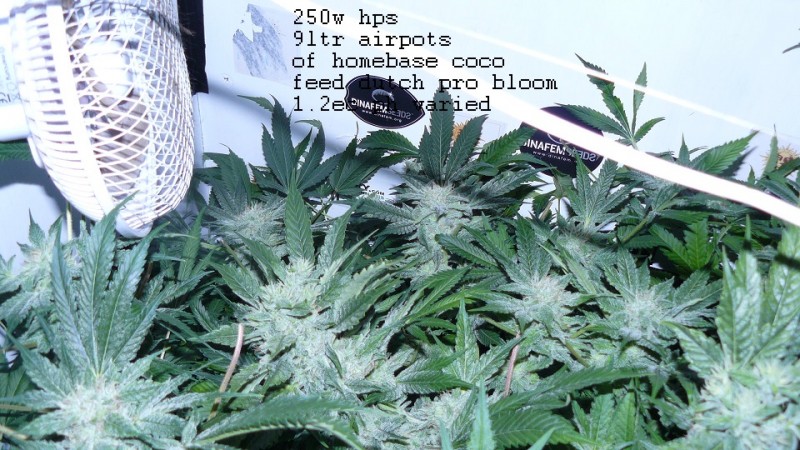 drobes 20 04 22 013