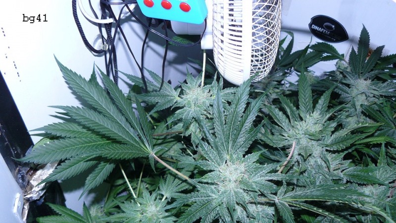 drobes 20 04 22 014