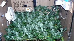 drobes 20 04 22 028