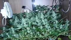 drobes 20 04 22 029