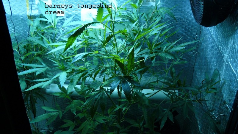 drobes 20 04 22 032