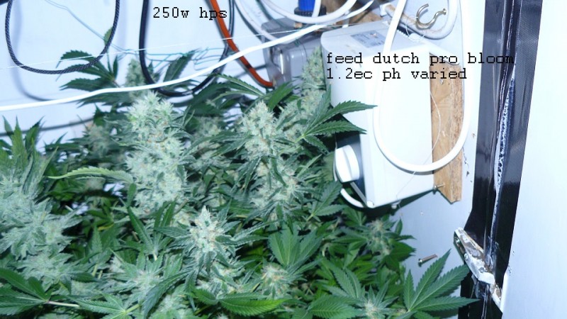 drobes 22 4 22 016