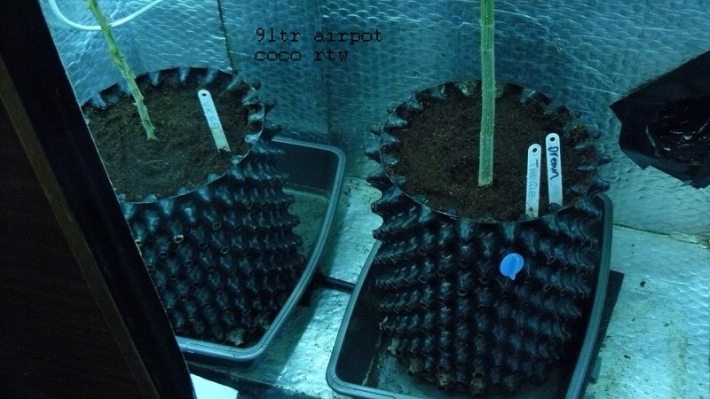 drobes 22 4 22 032