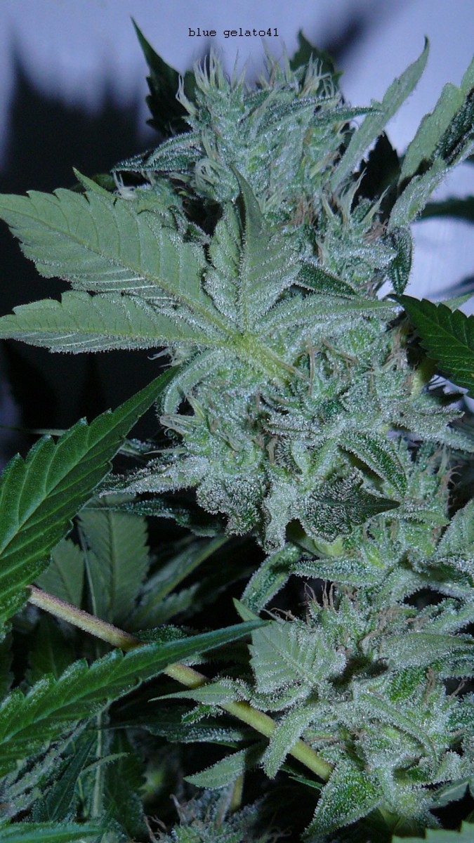drobes 25 04 22 004