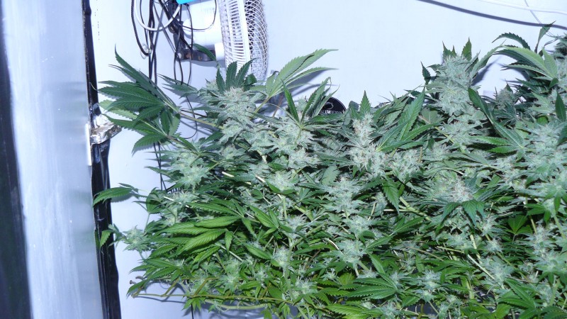 drobes 25 04 22 020