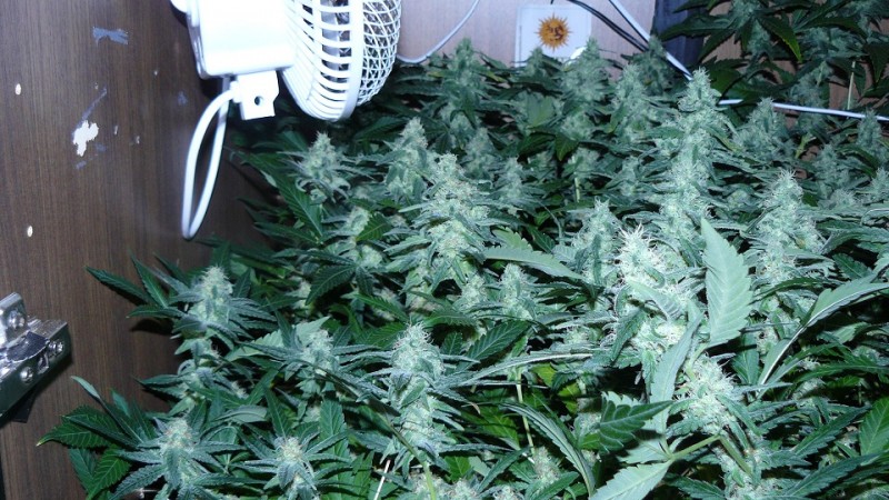 drobes 25 04 22 024