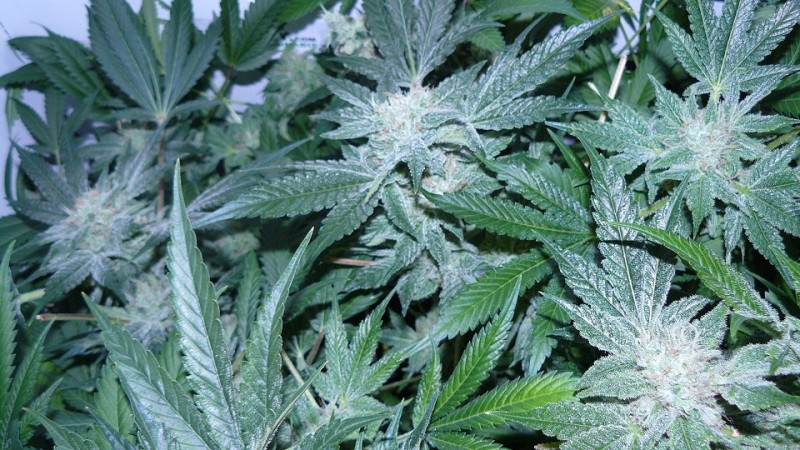 drobes 27 4 22 014