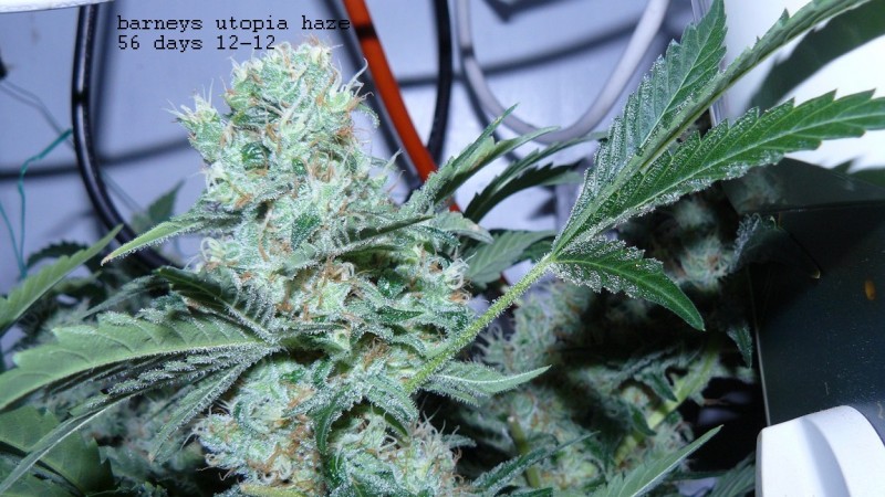 drobes 27 4 22 022