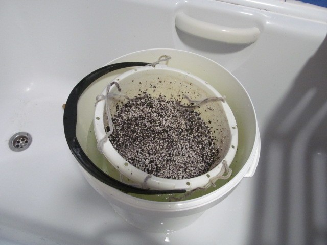 LH-CH (7)