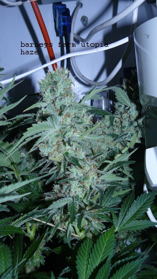 drobes 30 04 22 002