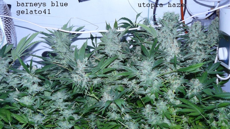 drobes 30 04 22 023