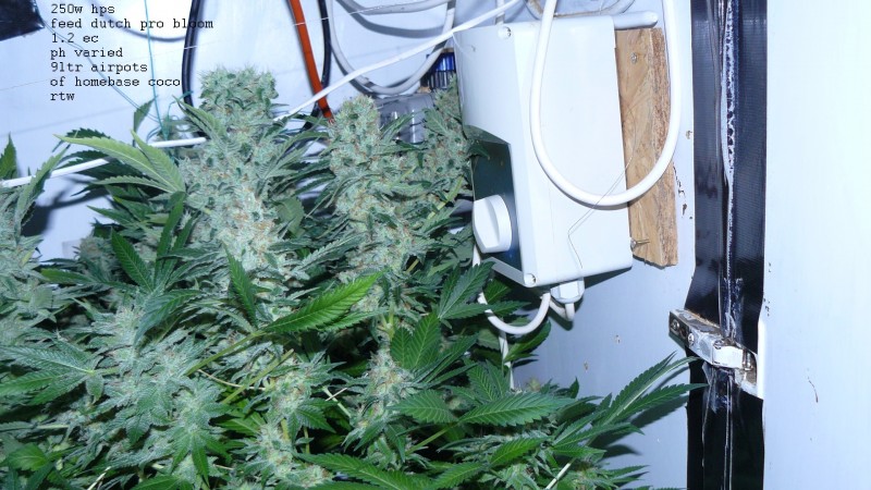 drobes 30 04 22 026
