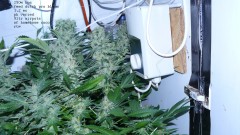 drobes 30 04 22 026