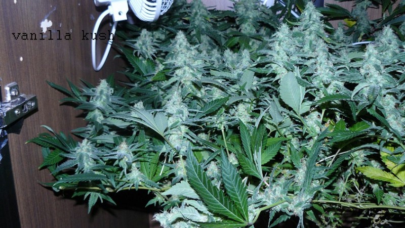 drobes 30 04 22 029