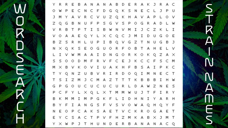 420 month word search strain names