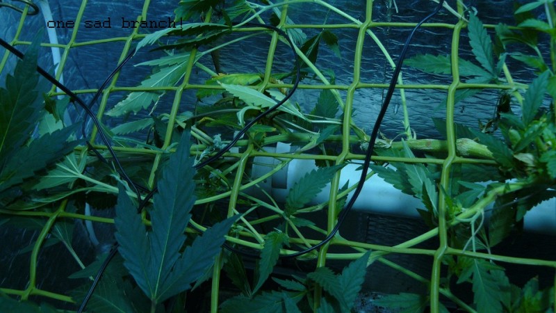 drobes 03 04 22 002