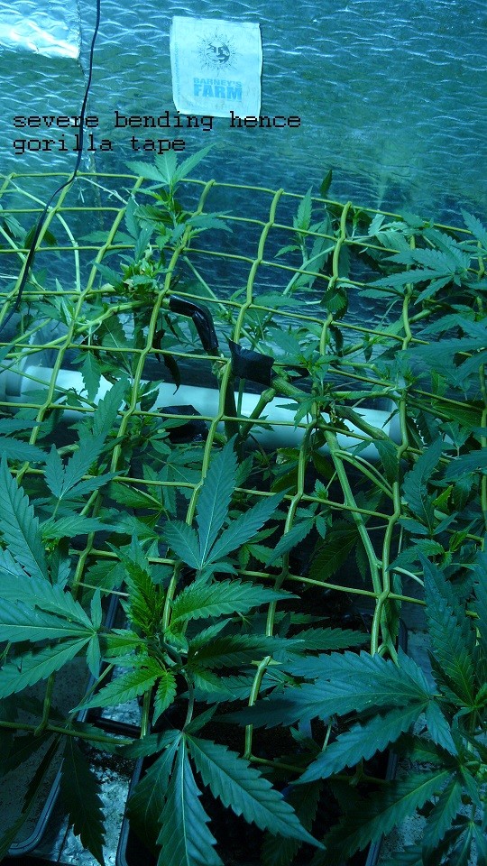 drobes 03 04 22 004