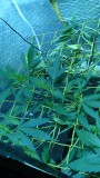 drobes 03 04 22 005