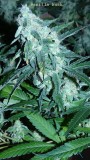 drobes 03 04 22 011