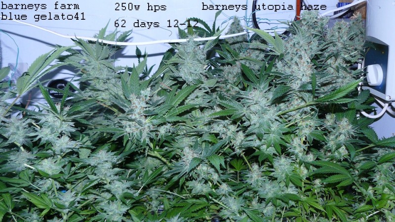 drobes 03 04 22 019