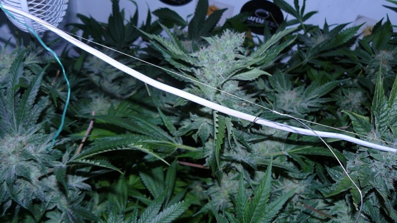 drobes 03 04 22 028