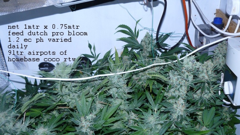 drobes 03 04 22 030