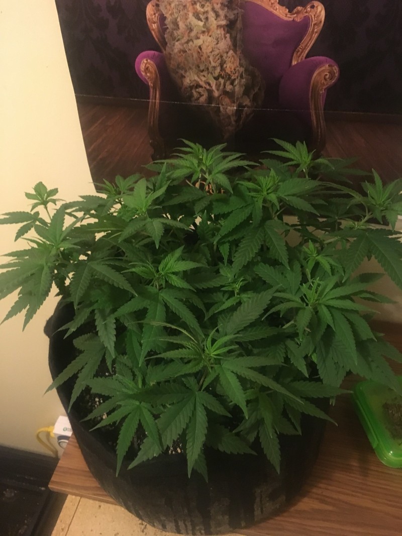 jan 27 008