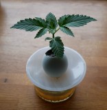 P1020535