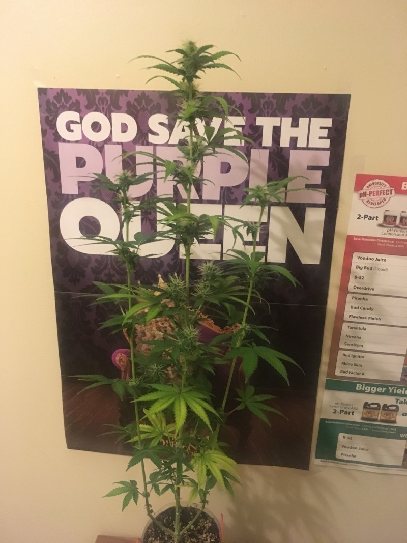 jan 27 016