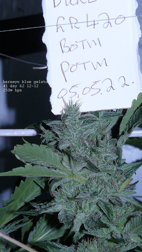 drobes 050522 001
