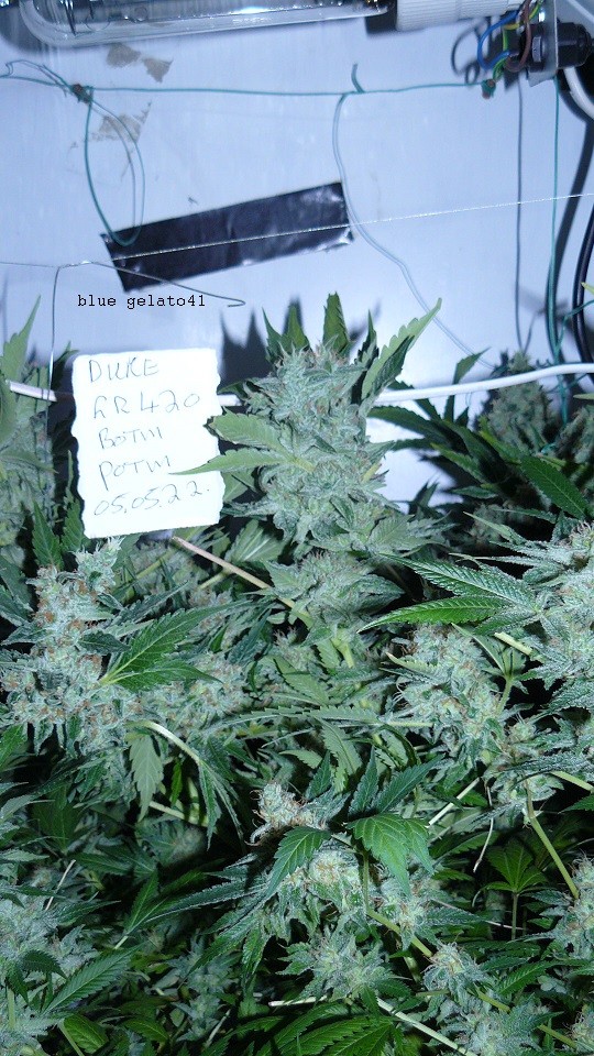 drobes 050522 004