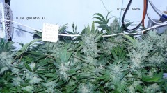 drobes 050522 010