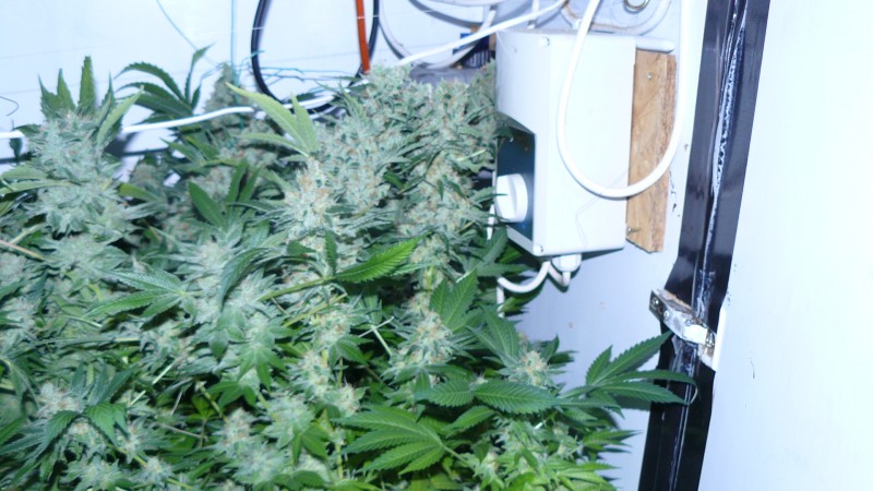 drobes 050522 014