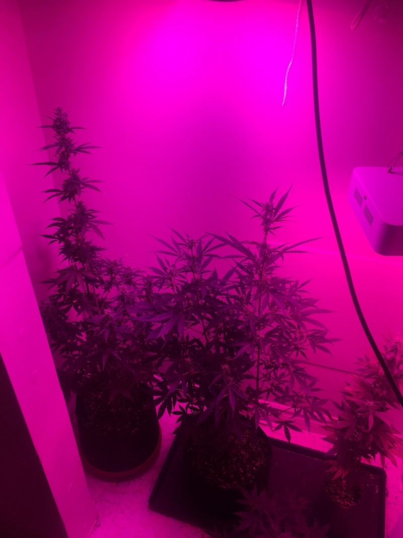 jan 27 043