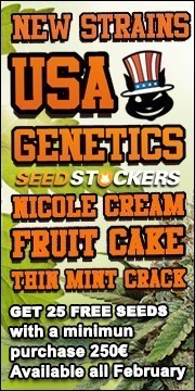 seedstockers